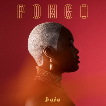 Pongo - Tambulaya