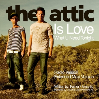 The Attic - Iris