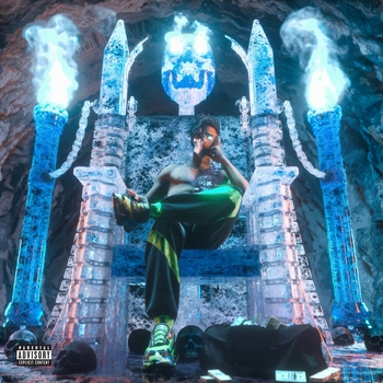 Icy Narco - Numb & Frozen