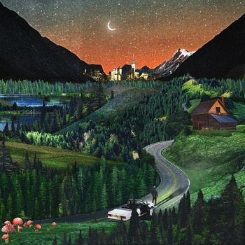 Sam Wills - Traingazing