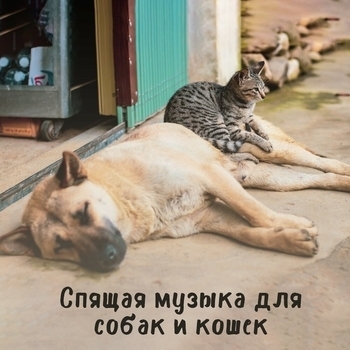 Духовная Медитация Академия - Чудо флюиды