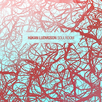 Hakan Ludvigson, Oovation, Antrim - Solis